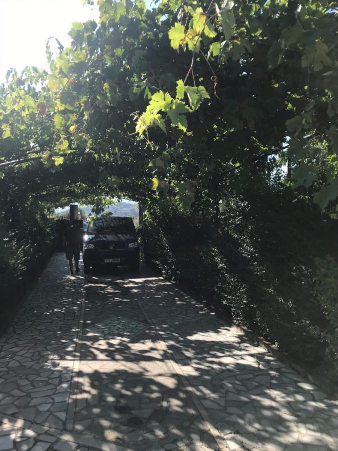 Kasaj Villa Gjirokastër Exteriör bild